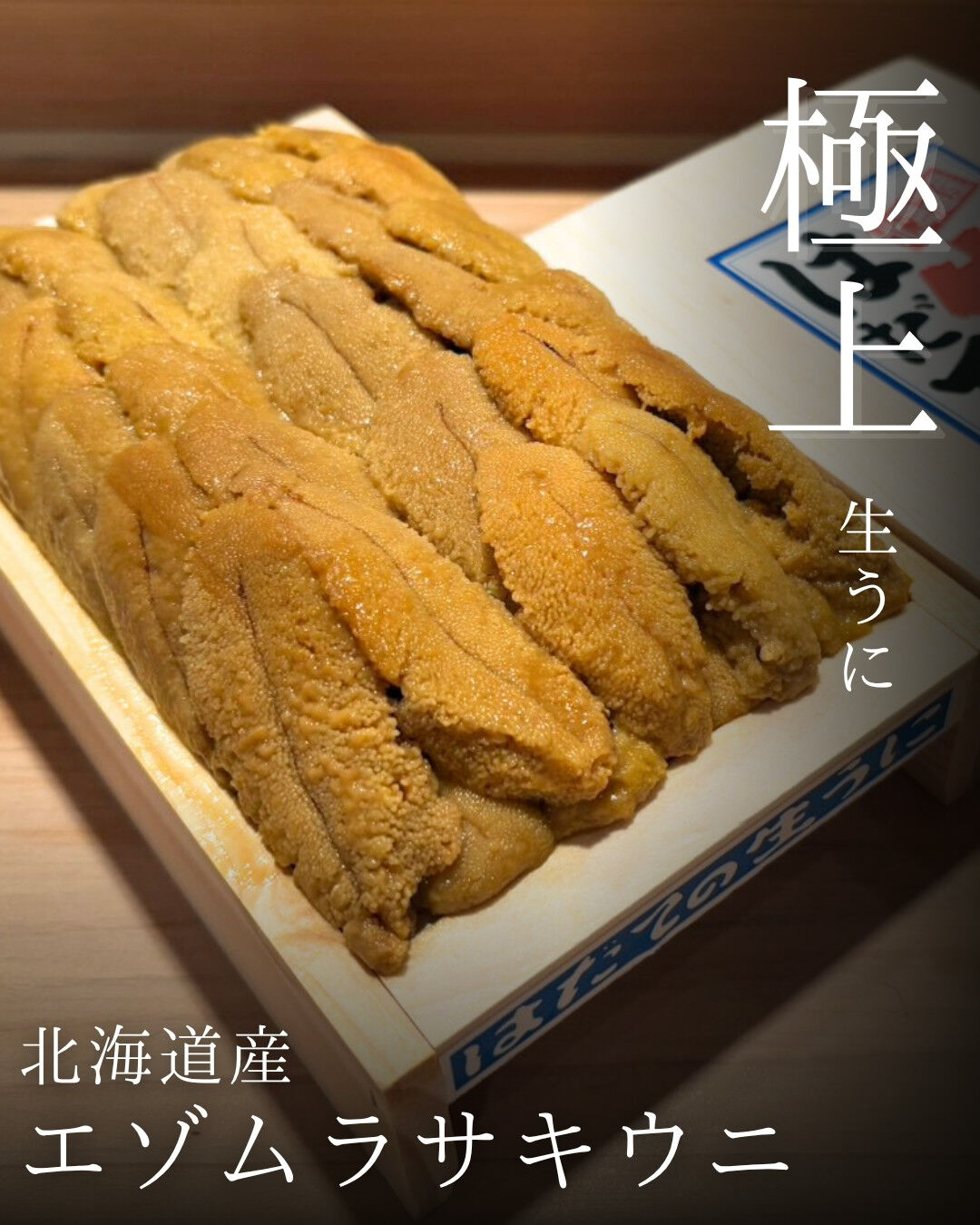【北海道産 エゾムラサキウニ】 