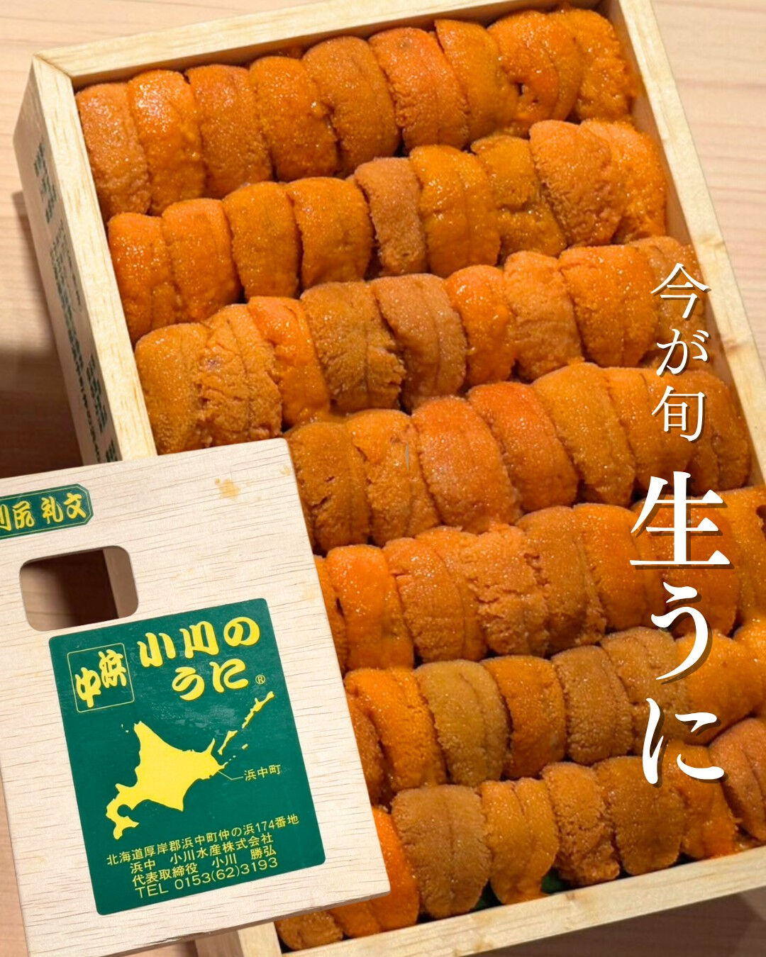 🌊 夏はウニが最も美味しい季節です 🌊